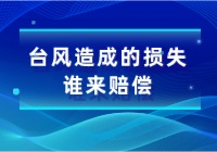 台风造成的损失谁来赔偿